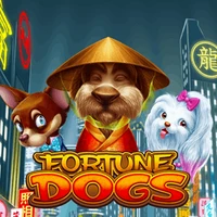 FORTUNE DOGS